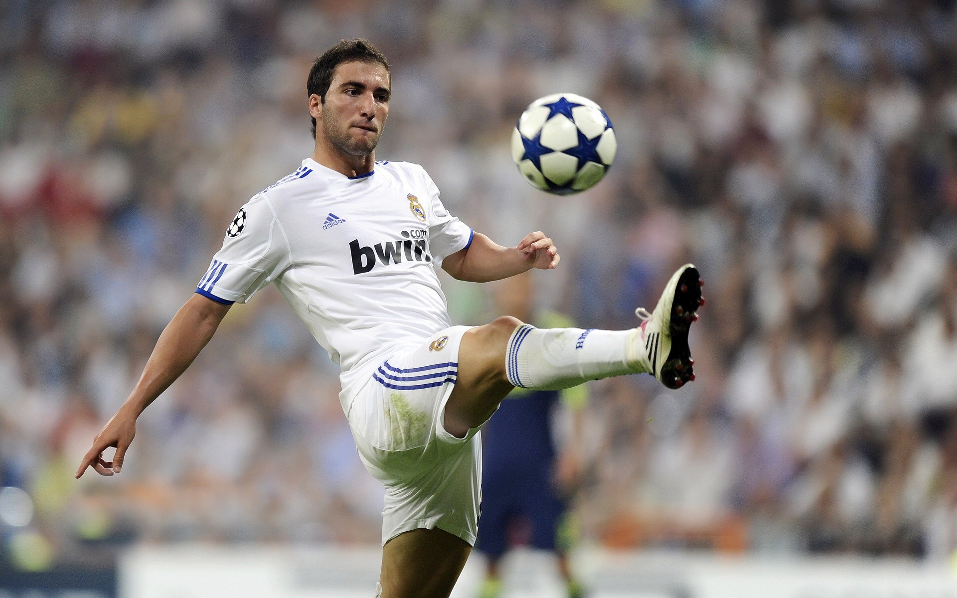 维尔·冯·威克：突破对方防线并制造得分机会，南非队不可或缺的锋线悍将